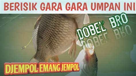 MANCING PAKAI UMPAN DJEMPOL BIKIN BERISIK Vlog 21 YouTube