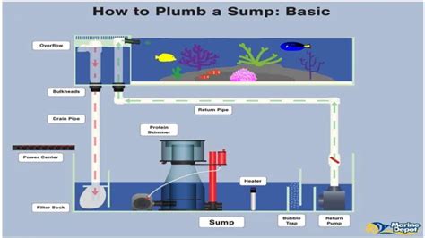 How To Plumb Gallon Aquarium To Sump A Complete Guide For Beginners