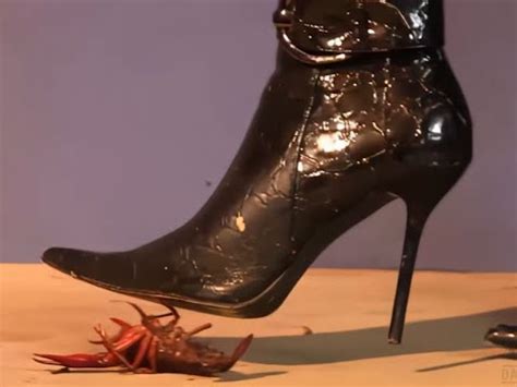 N92 Bug Crush Teaser Classic Stiletto Boots And Crayfish YouTube