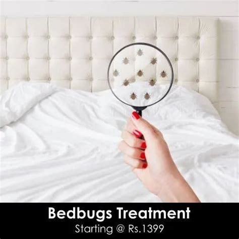 Bed Bug Control Treatments Bed Bugs Pest Control Smart Find Mumbai