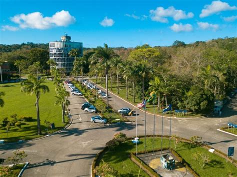 Uesc abre inscrições em cursos gratuitos de graduação EaD