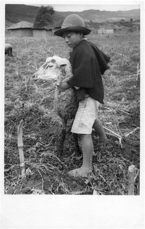 Ni O Campesino Con Oveja La Red Cultural Del Banco De La Rep Blica