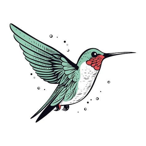 Oiseau Colibri Avec Les Ailes D Ploy Es Illustration Vectorielle