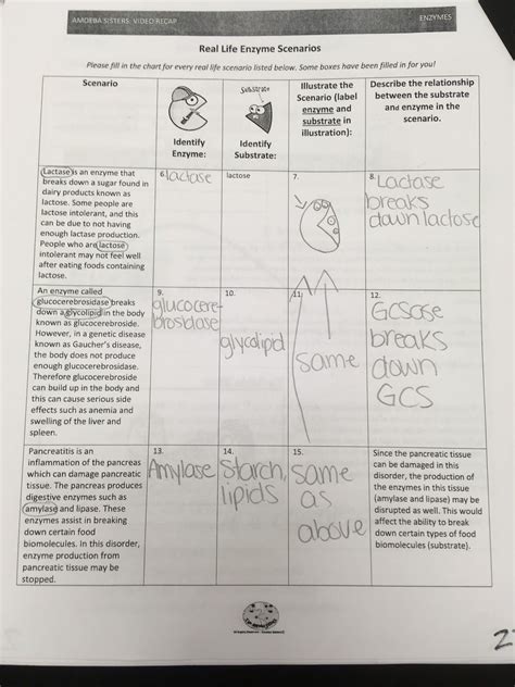 Worksheet Amoeba Sisters The Eleven Human Body Systems Amoeb