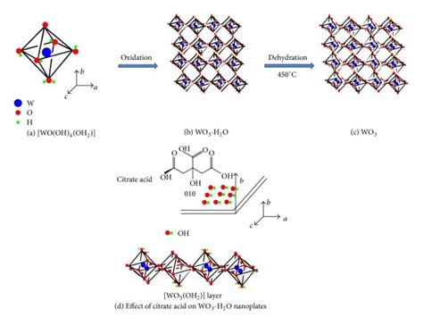 Schematic Illustration Of The Formation Mechanism Of Wo Nanoplates