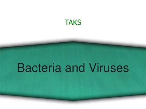 Ppt Bacteria And Viruses Powerpoint Presentation Free Download Id5298389