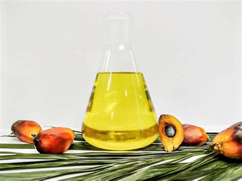 Edible Oils Louis Dreyfus Company