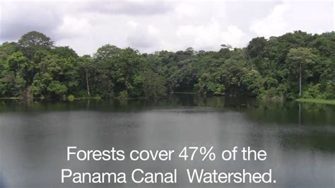 Sustainability Importance Of The Panama Canal Watershed Youtube