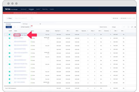 View Your Campaign Data TikTok Ads Manager