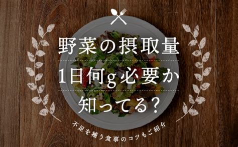 野菜の摂取量は1日何グラムか知ってる？不足を補う食事のコツも紹介 大阪で農業っておもろいやん