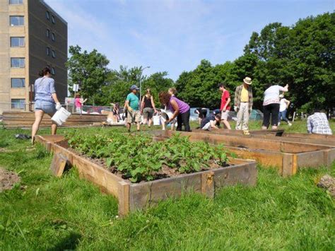 17 Best images about Community Garden Ideas on Pinterest | Gardens ...