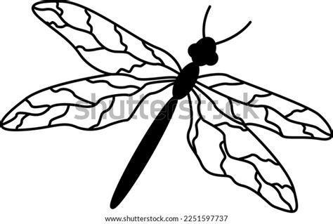 Flying Dragonfly Coloring Book Dragonfly Vector Stock Vector Royalty