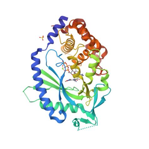 RCSB PDB 7FTU Crystal Structure Of Human Cyclic GMP Synthase In