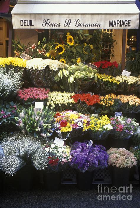 French Flower Shop