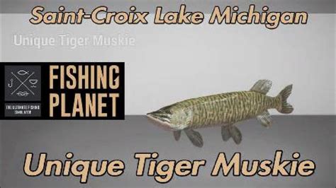 Fishing Planet Unique Tiger Muskie Saint Croix Lake Michigan YouTube