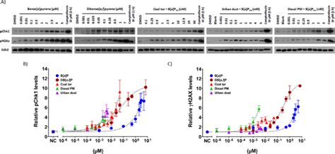 The Induction Of Dna Damage Signaling Through Pchk1 And γh2ax In Hepg2