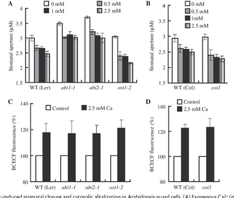 Figure 2 From Cytosolic Alkalization And Cytosolic Calcium Oscillation