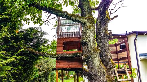 4 Epic Ideas For The Best Treehouse This Summer | This Lady Blogs