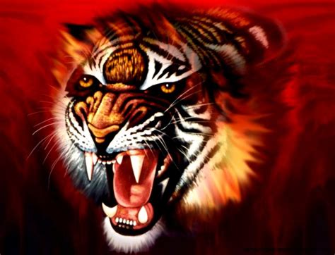 Tiger Wallpaper 3d Amazing Wallpapers