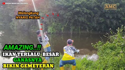 GANAS Mancing Ikan Besar DiBulan Ramandhan Joran DiBantai Habis