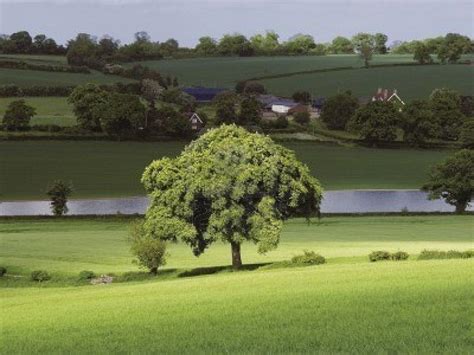 Hertfordshire Scenery Places Ive Been Places To See County House