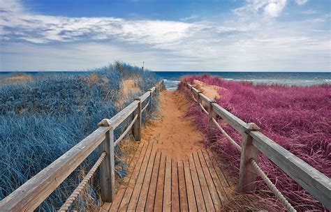 1920x1080px Free Download Hd Wallpaper Brown Wooden Pathway