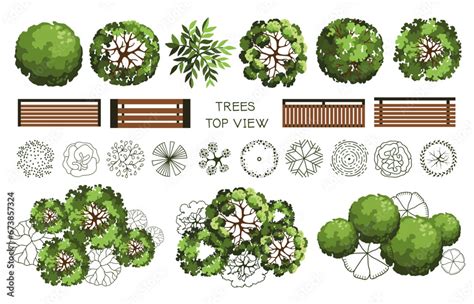 Fototapeta Top View Elements For The Landscape Design Plan Trees And