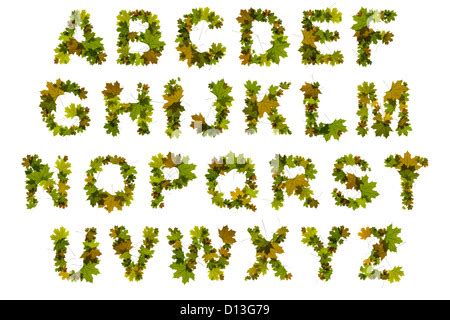 Nature Concept Alphabet Of Green Leaves In Alphabet Letter A Shapes