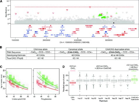 Correcting Mis Estimated Cag Repeat Length Removes Significant Signals