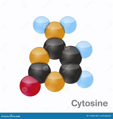 Cytosine C Cyt Nucleobase Chemical Formula And Skeletal Structure