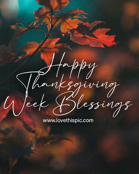 Happy Thanksgiving Week Blessings Pictures Photos And Images For