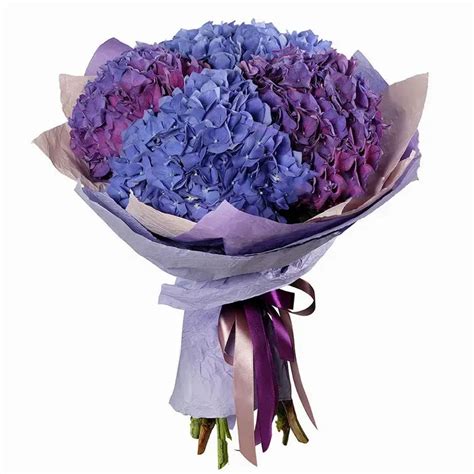 Blue-purple hydrangea bouquet New York Florist: Flordel LLC | Local ...