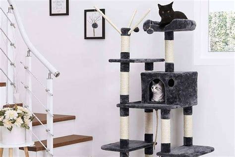 Árbol Rascador Para Gatos 11 Mejores Del 2023 Feelcats