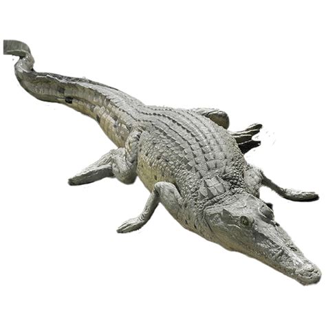 Location Crocodile 130 cm Décoration événementielle Pâte à Fêtes