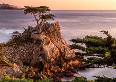 Images Gratuites paysage mer côte arbre la nature Roche océan