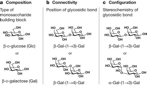 Structural Features Of Complex Carbohydrates A The Composition Of A