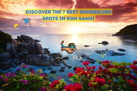 Dive Into Paradise Discover The Best Snorkeling Spots In Koh Samui