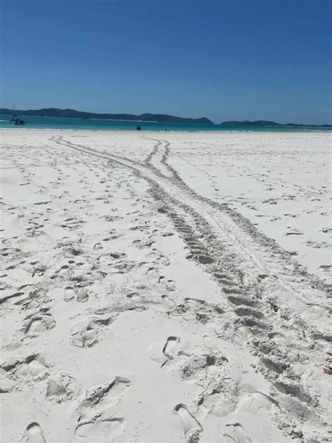 Why Should You Visit The Whitsundays During The Wet Season Ocean