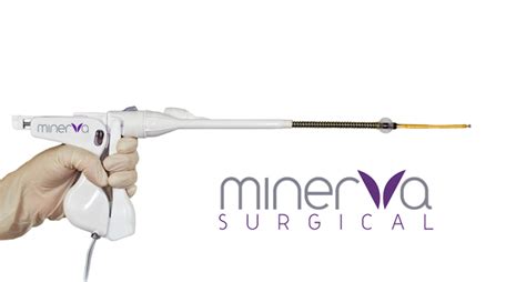 Minerva Surgical Raises 16 7m For Aurora Endometrial Ablation Device Massdevice