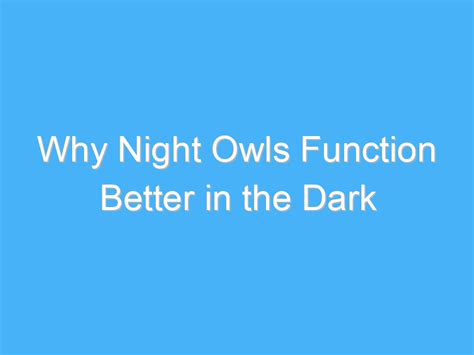 Why Night Owls Function Better in the Dark - A.B. Motivation