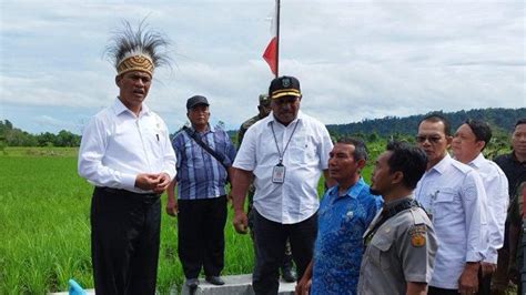 Mentan Amran Sulaiman Sebut Papua Barat Bisa Jadi Penyuplai Beras