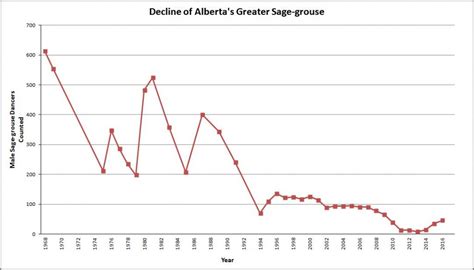 Sage-Grouse - Alberta Wilderness Association