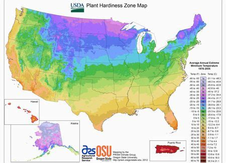 Usda Loan Map Texas | secretmuseum