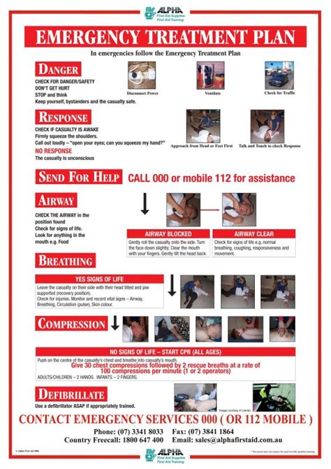 Emergency Treatment Plan And Cpr Guide Poster A3 Laminate