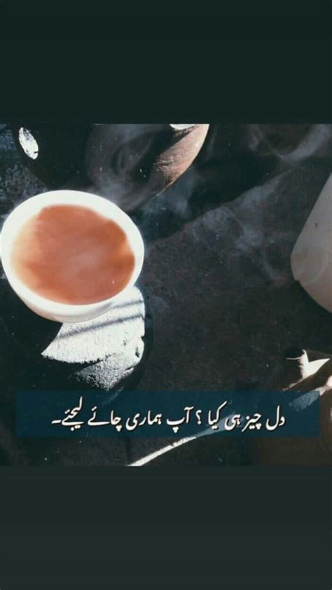 Pin By SyEdA AyAl ZaHrA On ChAe Tea Lover Quotes Urdu