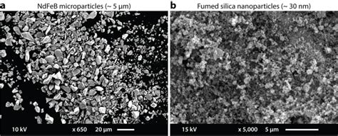 1 Scanning Electron Microscope Images Of Ndfeb And Fume Silica