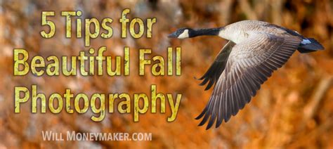 5 Tips for Beautiful Fall Photography | Will Moneymaker Photography