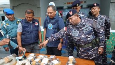 TNI AL Gagalkan Penyelundupan Ganja 13 430 Gram Dari Papua Nugini Ke Papua