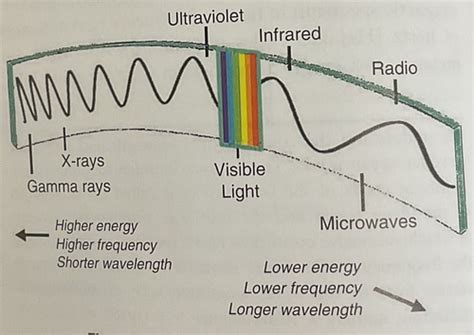 Chapter 2: radiation: types, sources, and doses received Flashcards | Quizlet