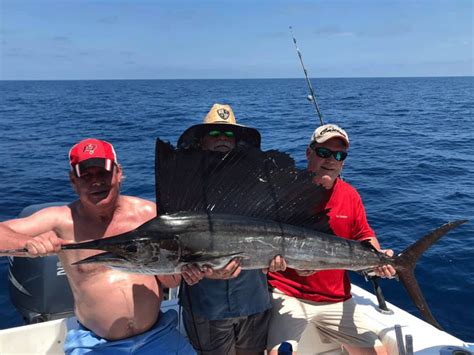 Deep Sea Fishing In Sarasota The Complete Guide Updated 2023